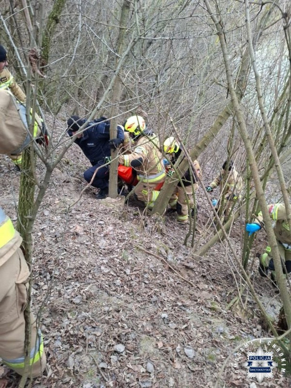 Poszukiwania zaginionej z gminy Lipnik