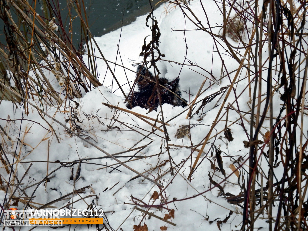 Akcja ratownicza w Gorzycach