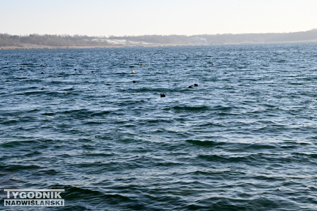 MorsLove 2026 nad Jeziorem Tarnobrzeskim