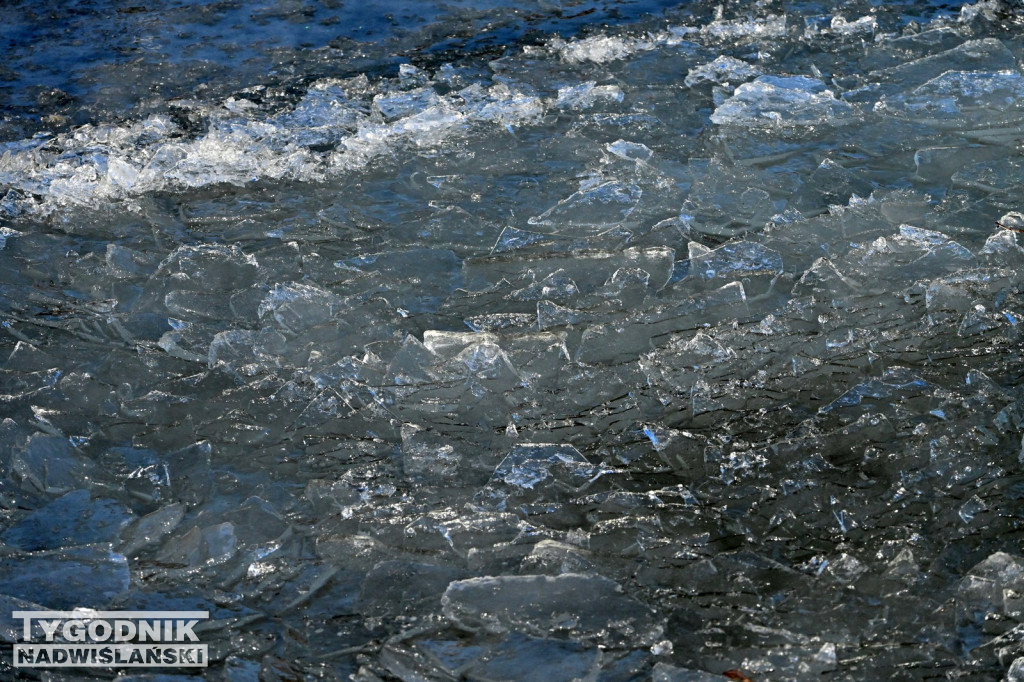 MorsLove 2026 nad Jeziorem Tarnobrzeskim