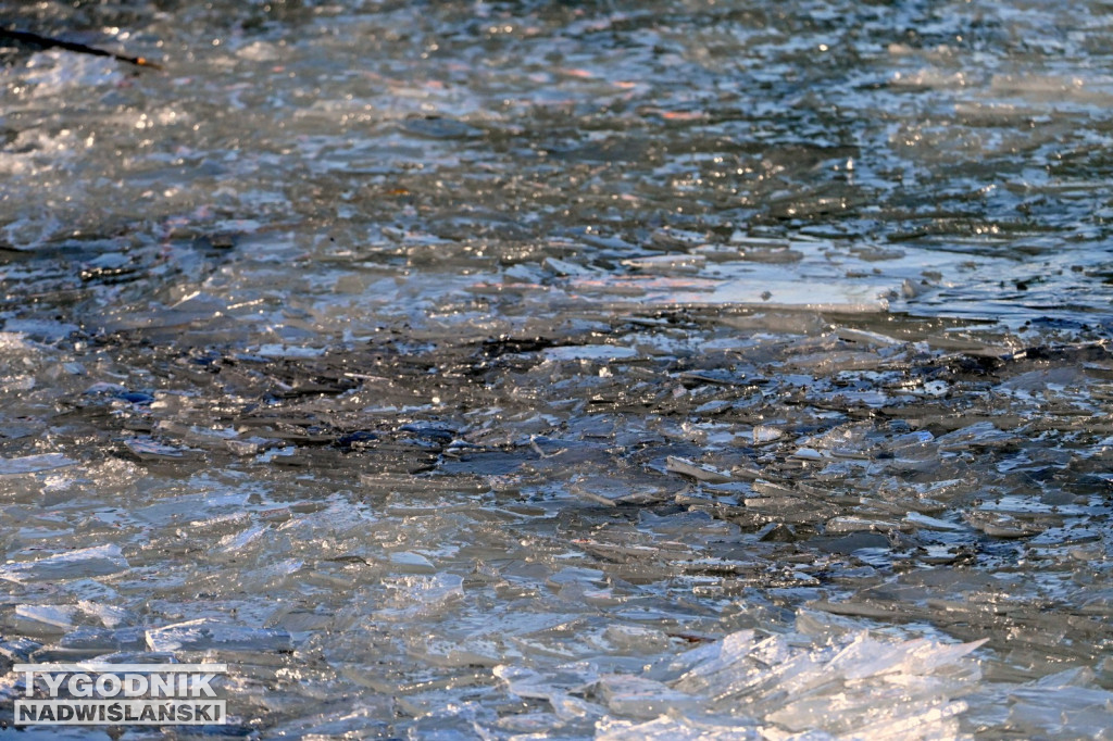 MorsLove 2026 nad Jeziorem Tarnobrzeskim