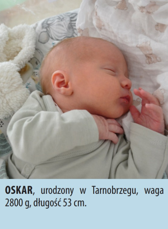 Zobacz dzieci urodzonych w naszych szpitalach