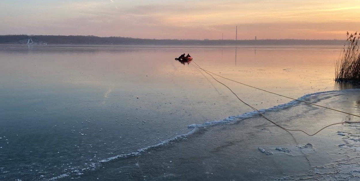 Strażacy ratują łabędzia na Jeziorze Tarnobrzeskim