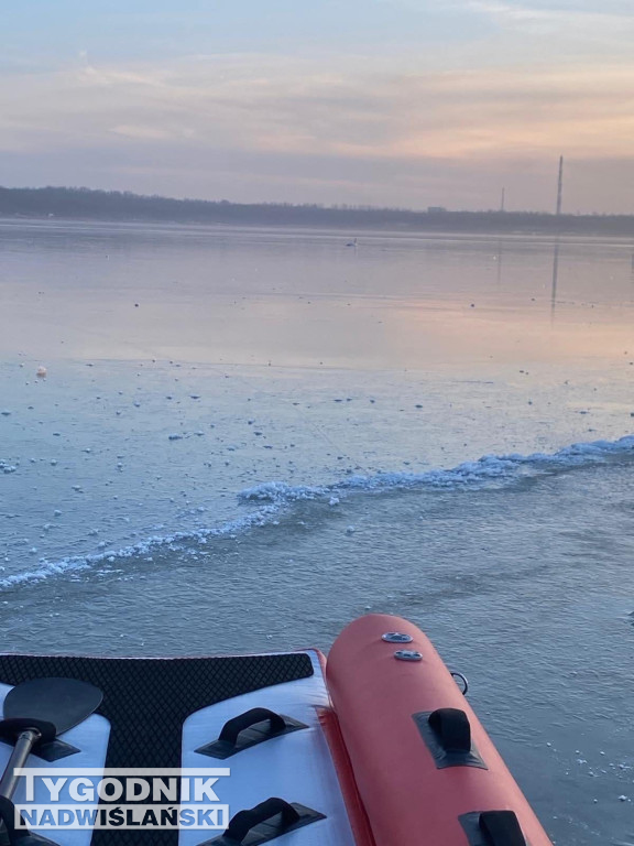 Strażacy ratują łabędzia na Jeziorze Tarnobrzeskim