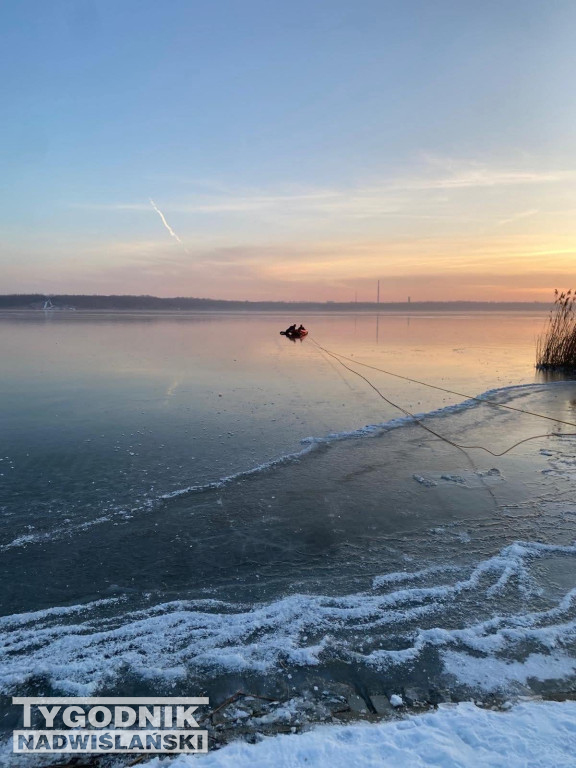 Strażacy ratują łabędzia na Jeziorze Tarnobrzeskim