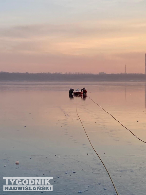Strażacy ratują łabędzia na Jeziorze Tarnobrzeskim