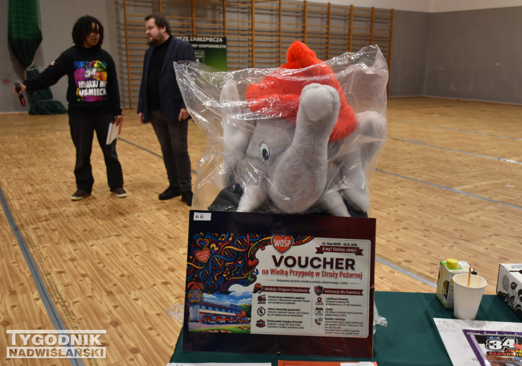 Finał WOŚP w sandomierskiej hali sportowej