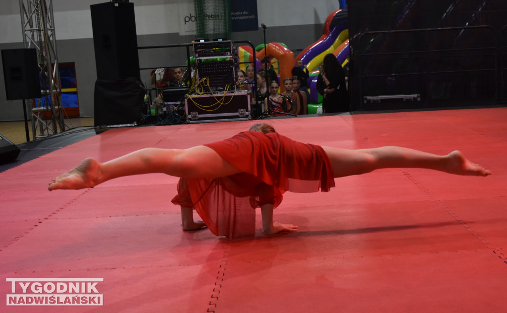 Finał WOŚP w sandomierskiej hali sportowej