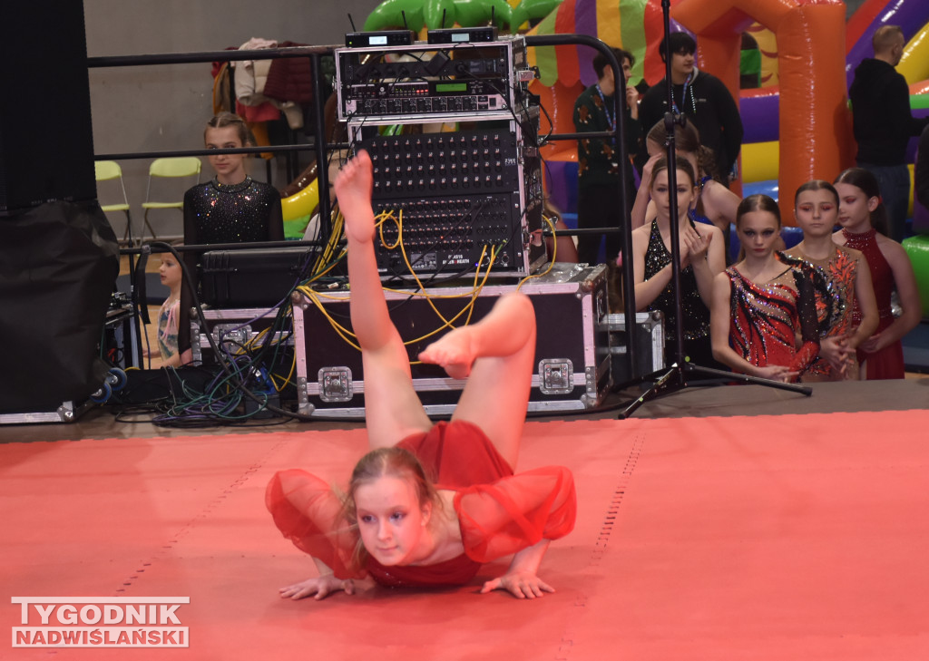 Finał WOŚP w sandomierskiej hali sportowej