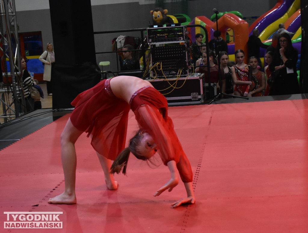 Finał WOŚP w sandomierskiej hali sportowej