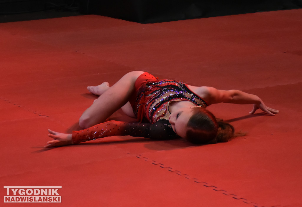 Finał WOŚP w sandomierskiej hali sportowej