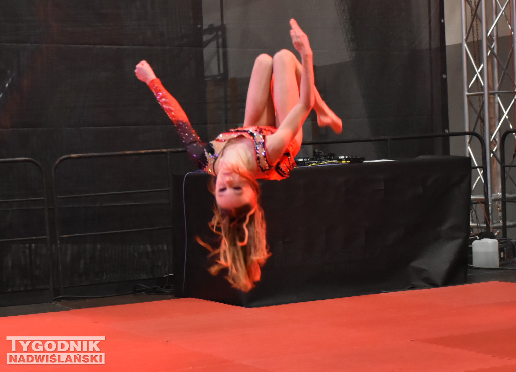 Finał WOŚP w sandomierskiej hali sportowej