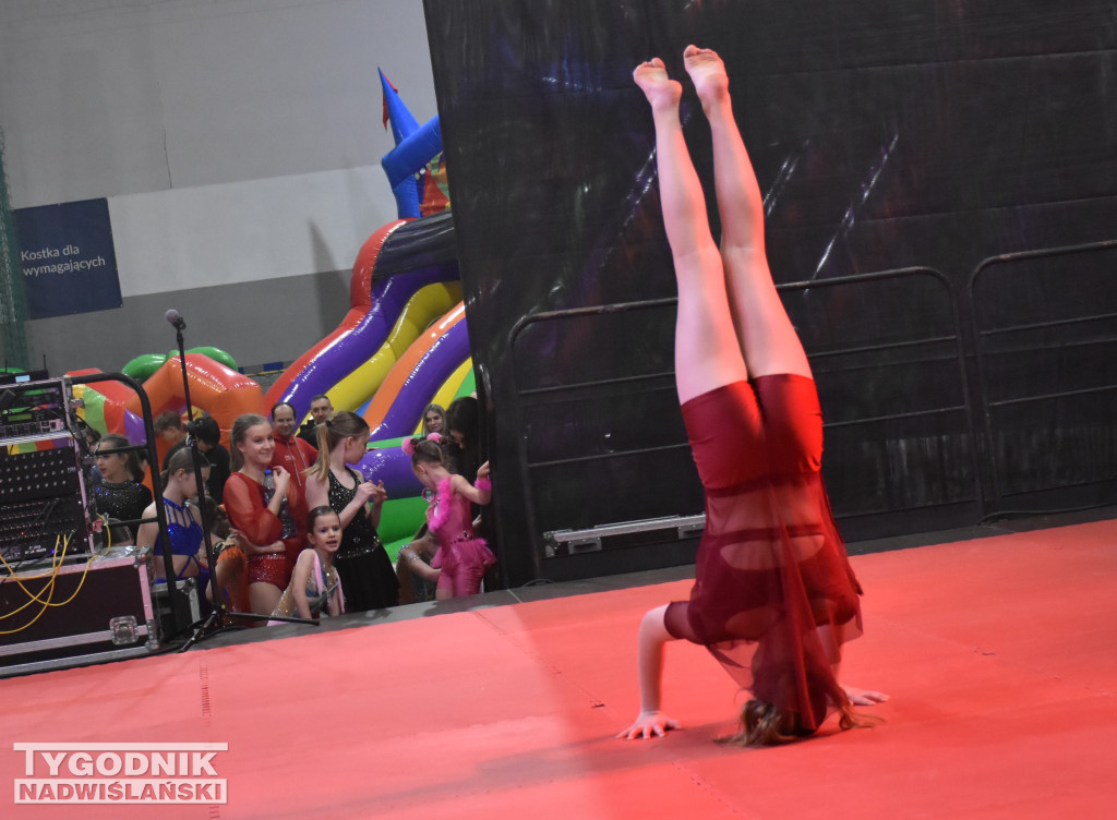 Finał WOŚP w sandomierskiej hali sportowej