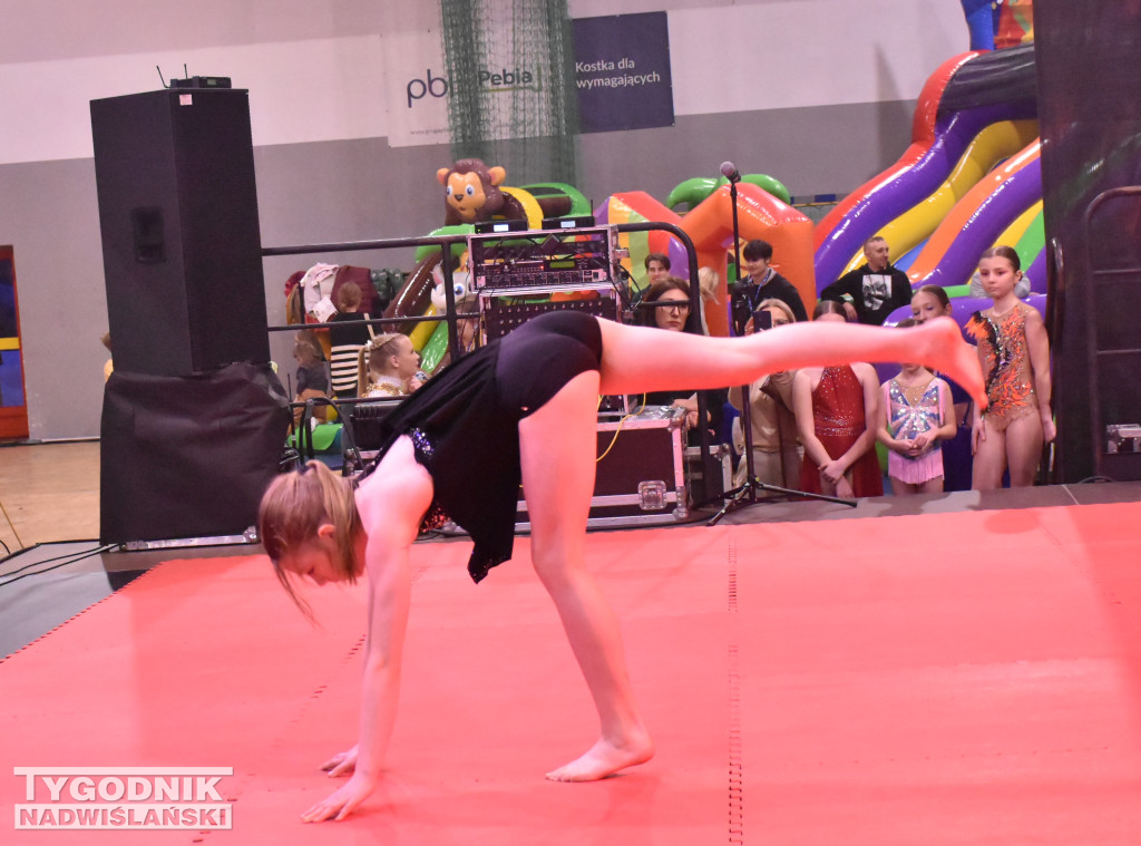 Finał WOŚP w sandomierskiej hali sportowej