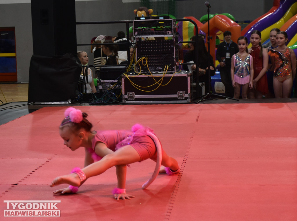 Finał WOŚP w sandomierskiej hali sportowej