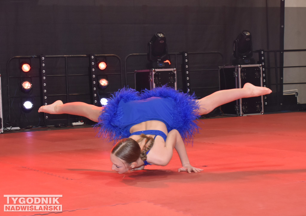 Finał WOŚP w sandomierskiej hali sportowej