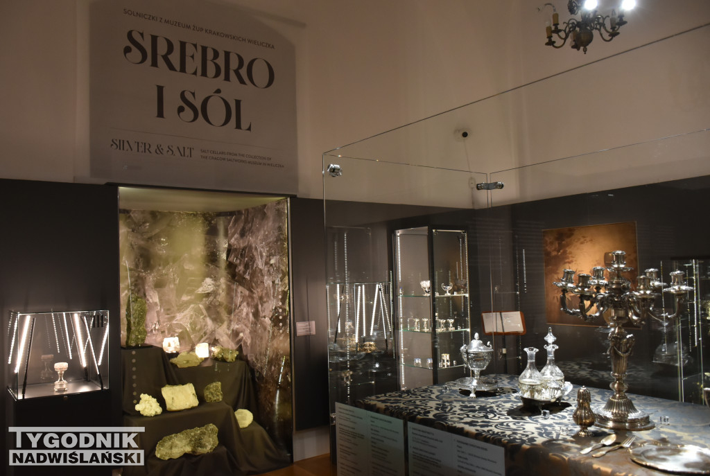Wystawa „Srebro i sól\