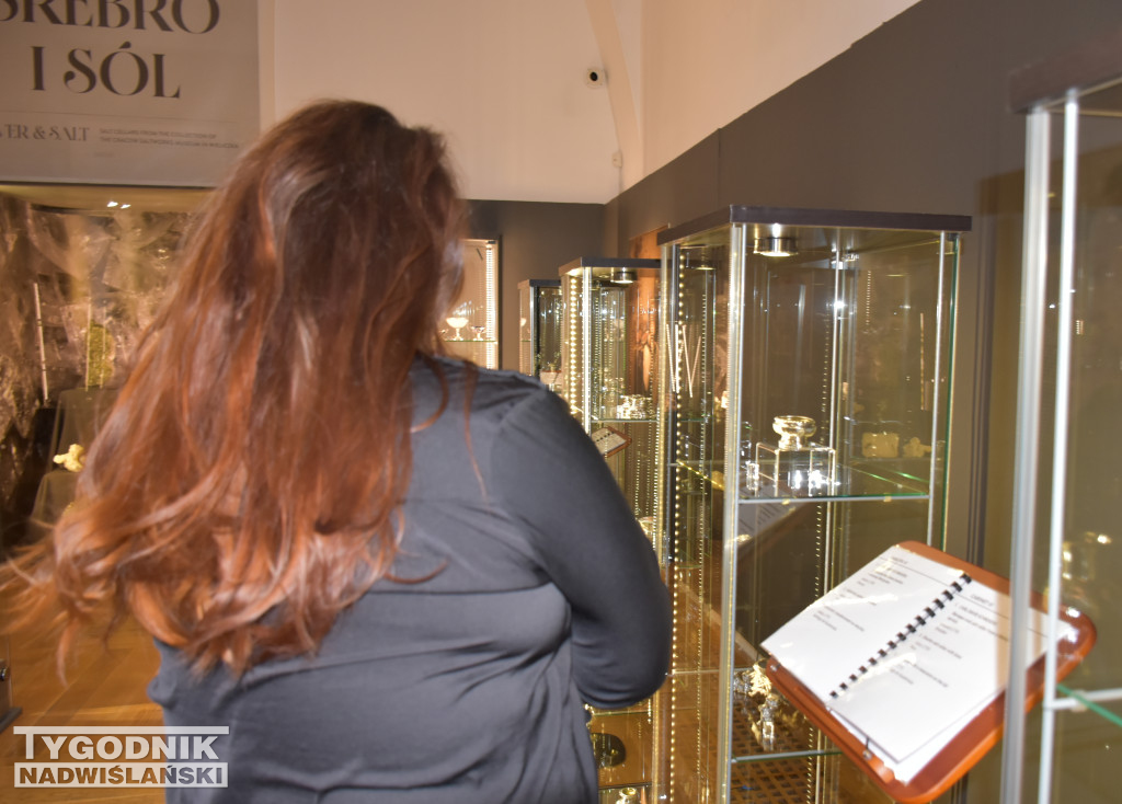 Wystawa „Srebro i sól\