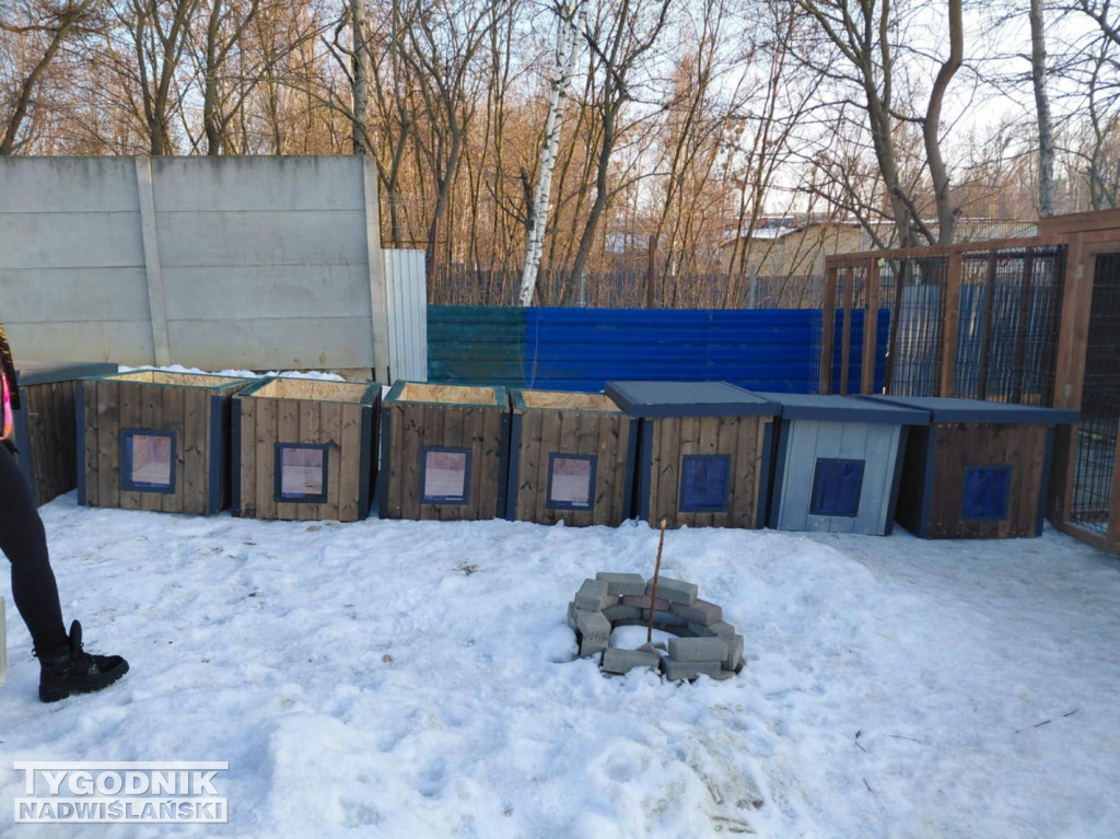 Doda wsparła schronisko dla zwierzat w Tarnobrzegu