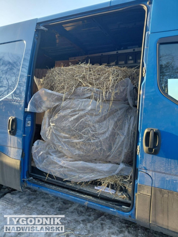 Doda wsparła schronisko dla zwierzat w Tarnobrzegu