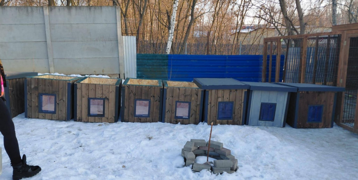 Doda wsparła schronisko dla zwierzat w Tarnobrzegu