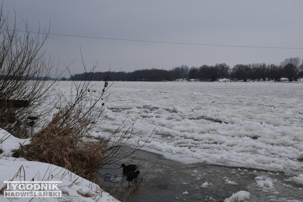 Zamarznięta Wisła w Tarnobrzegu