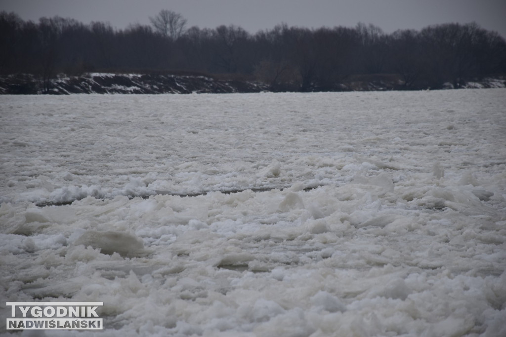 Zamarznięta Wisła w Tarnobrzegu
