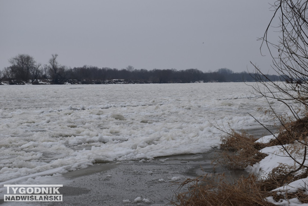 Zamarznięta Wisła w Tarnobrzegu