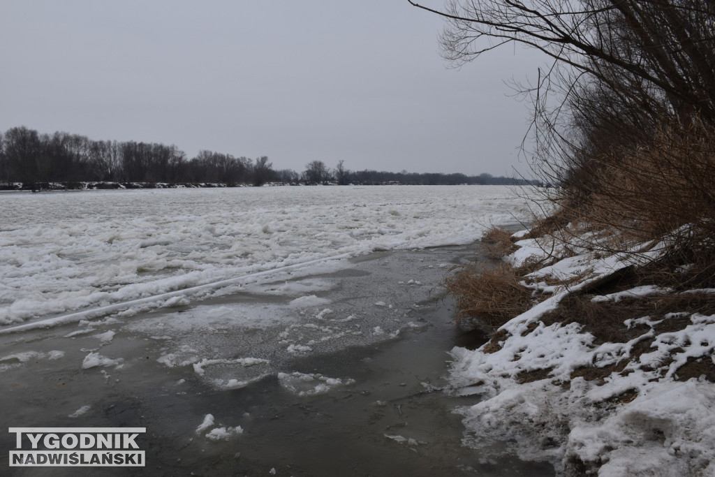 Zamarznięta Wisła w Tarnobrzegu