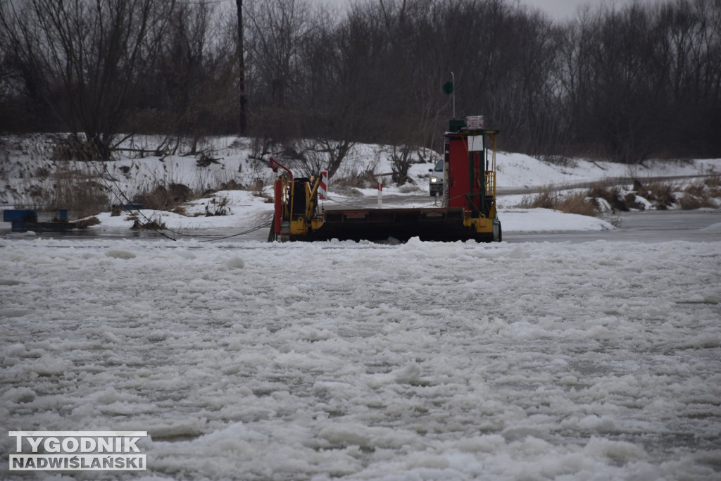 Zamarznięta Wisła w Tarnobrzegu