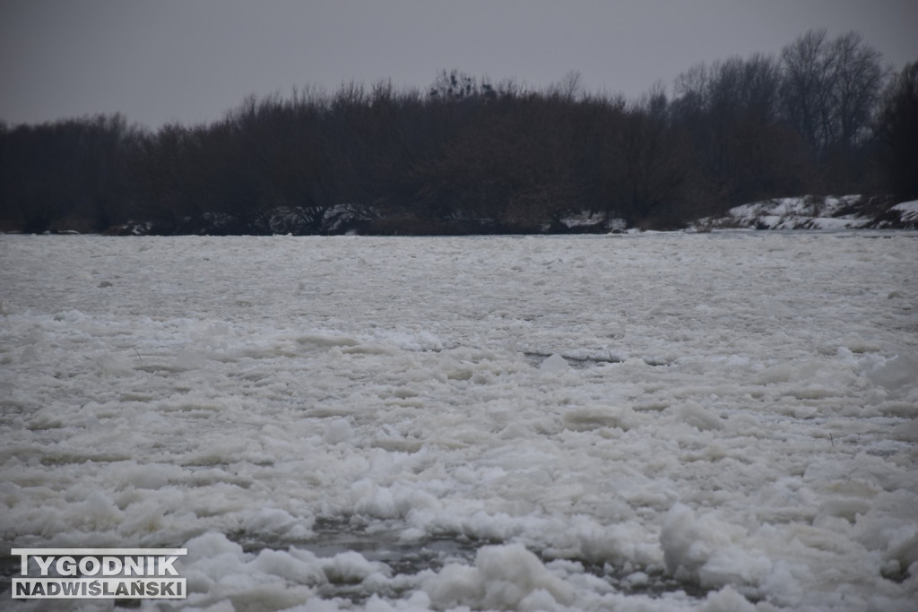 Zamarznięta Wisła w Tarnobrzegu