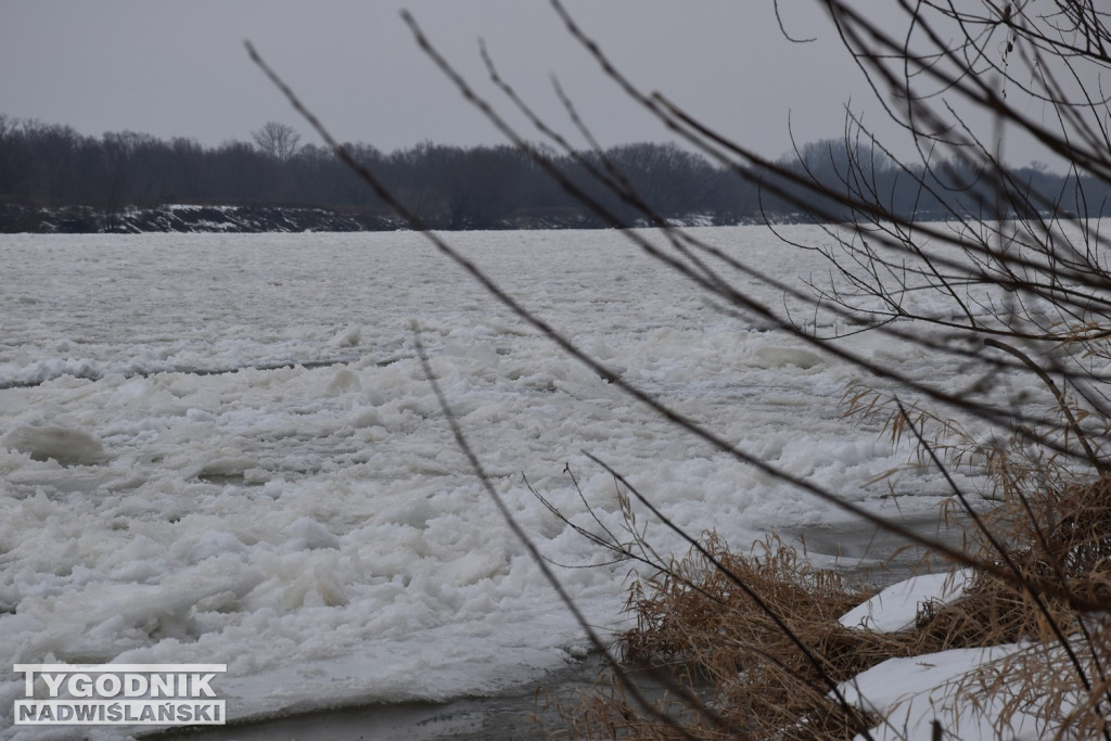Zamarznięta Wisła w Tarnobrzegu