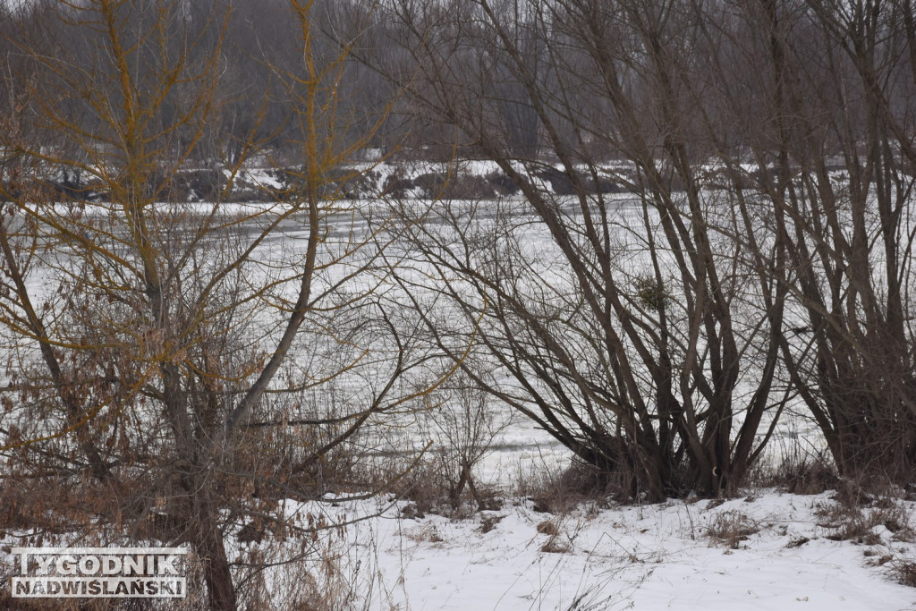 Zamarznięta Wisła w Tarnobrzegu