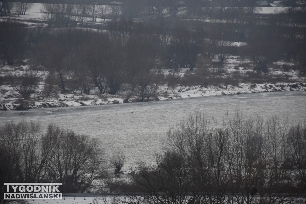 Zamarznięta Wisła w Tarnobrzegu