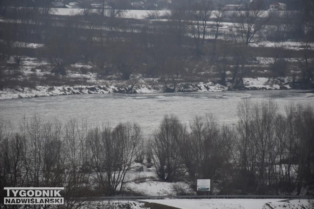 Zamarznięta Wisła w Tarnobrzegu