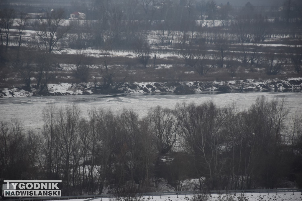 Zamarznięta Wisła w Tarnobrzegu