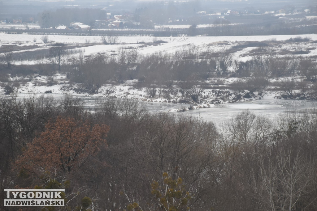 Zamarznięta Wisła w Tarnobrzegu