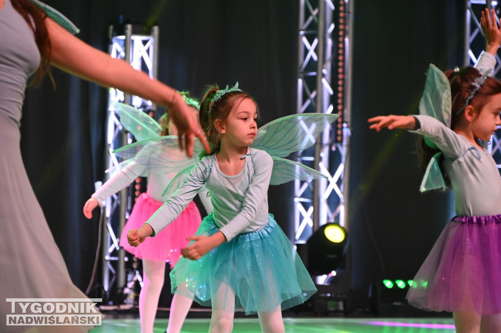 Noworoczny koncert FRAM - Zimowe Marzenie