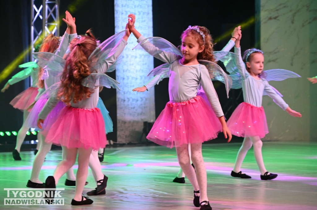 Noworoczny koncert FRAM - Zimowe Marzenie