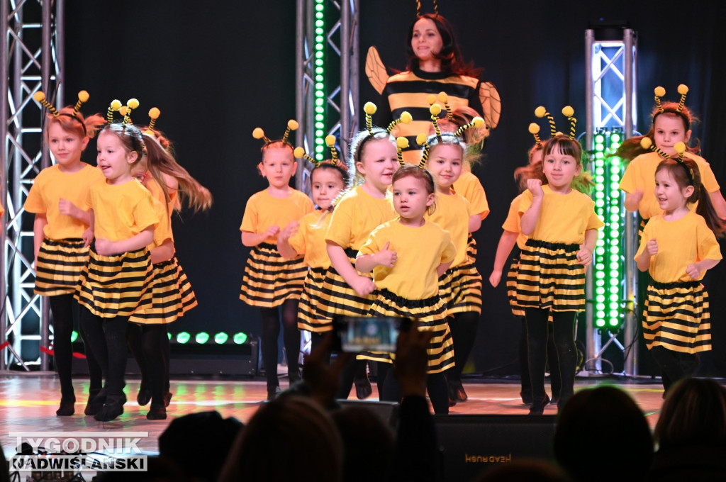 Noworoczny koncert FRAM - Zimowe Marzenie