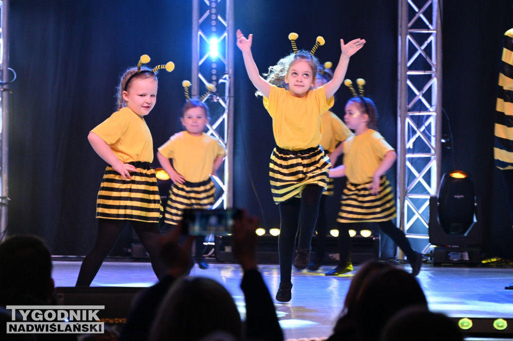 Noworoczny koncert FRAM - Zimowe Marzenie