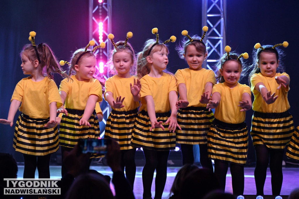 Noworoczny koncert FRAM - Zimowe Marzenie