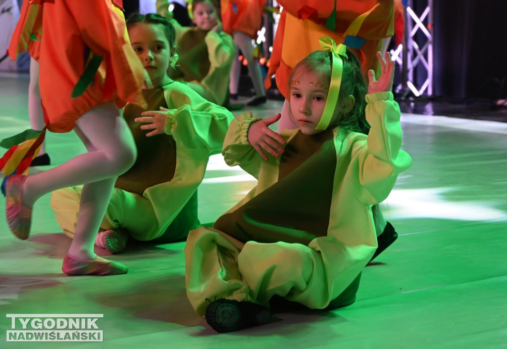 Noworoczny koncert FRAM - Zimowe Marzenie