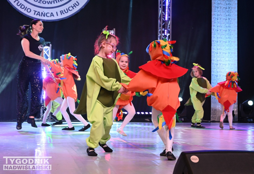 Noworoczny koncert FRAM - Zimowe Marzenie