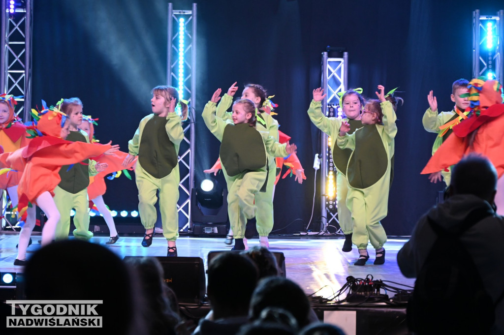 Noworoczny koncert FRAM - Zimowe Marzenie