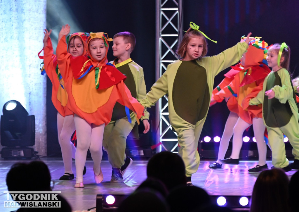 Noworoczny koncert FRAM - Zimowe Marzenie