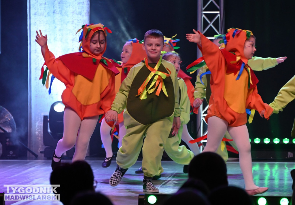 Noworoczny koncert FRAM - Zimowe Marzenie