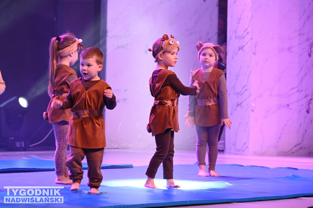 Noworoczny koncert FRAM - Zimowe Marzenie