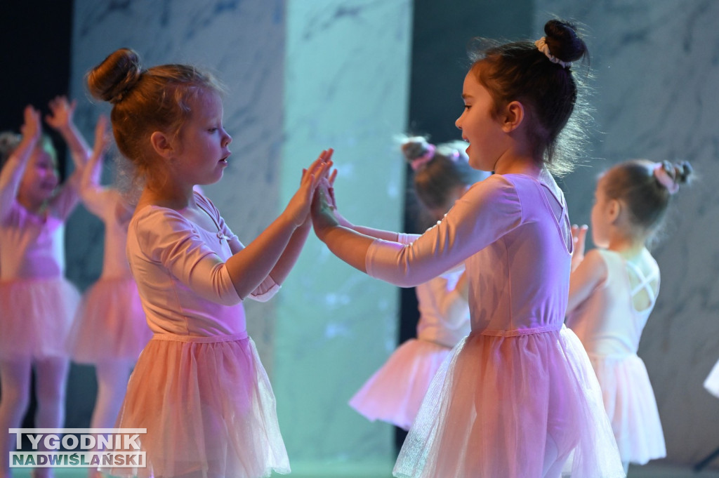 Noworoczny koncert FRAM - Zimowe Marzenie