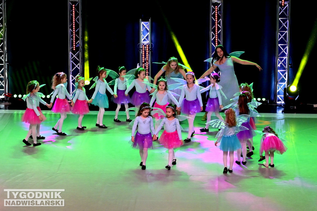 Zdjęcia B. Myśliwca z koncertu FRAM